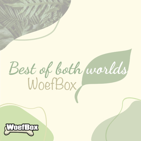 Best of both worlds woefbox